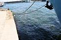 IMG_0250